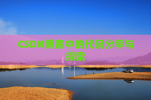 CSDN博客中的代码分享与探索
